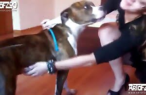 Cuộc hôn nhân của con chó ma quỷ với một cô nàng hấp dẫn dễ thương ART